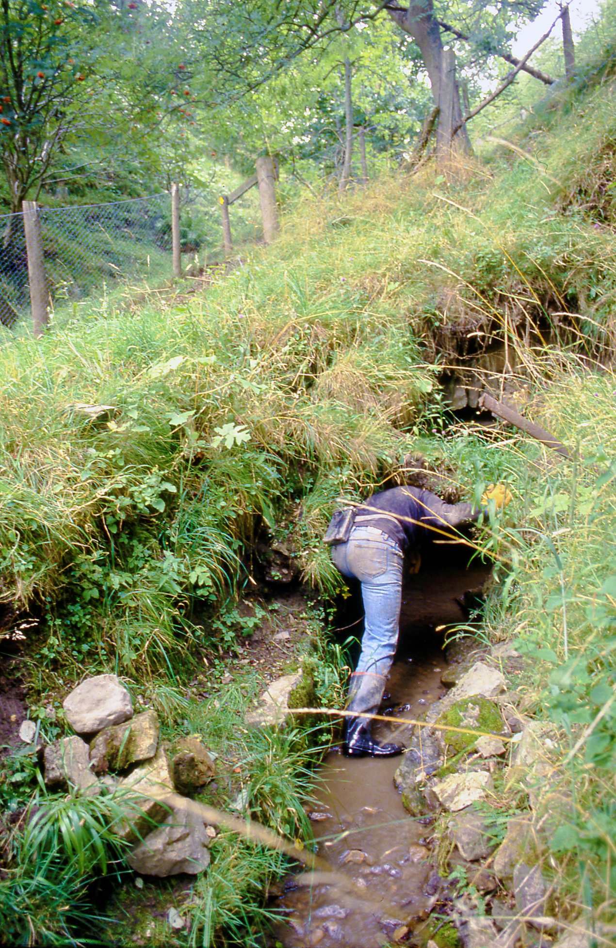 Skears Level Teesdale 1992